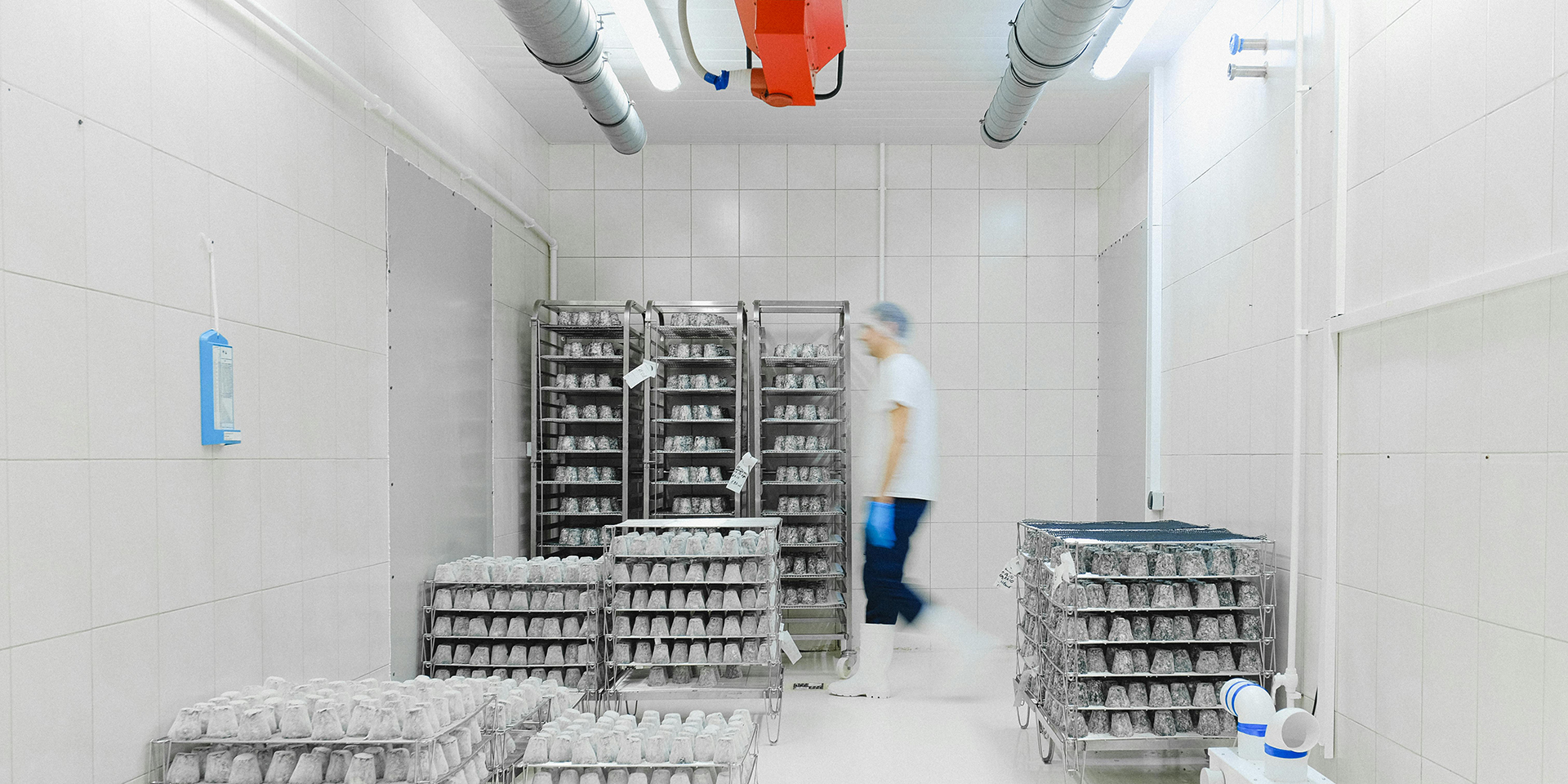 Cold storage